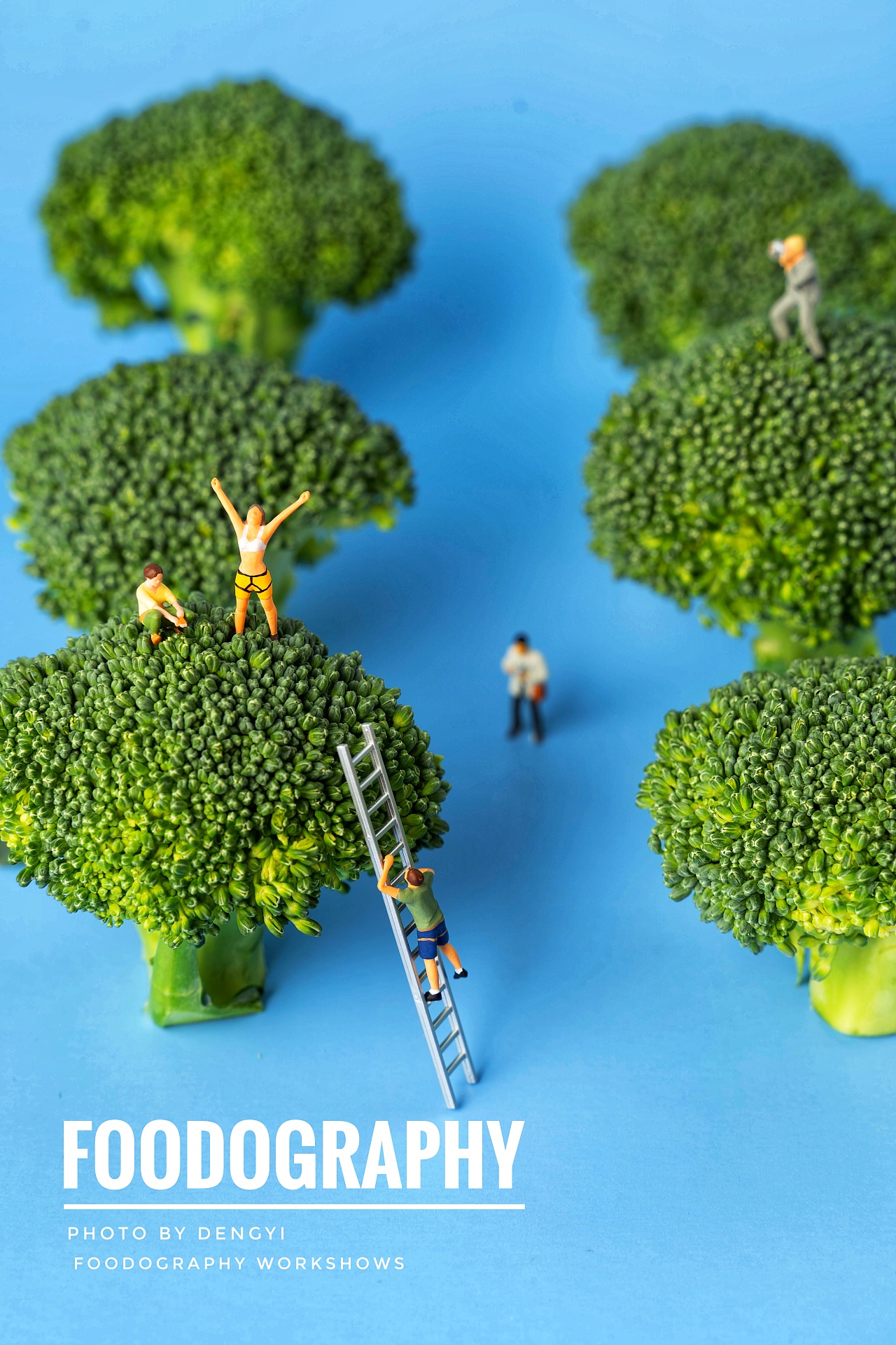 西兰花里的小人国