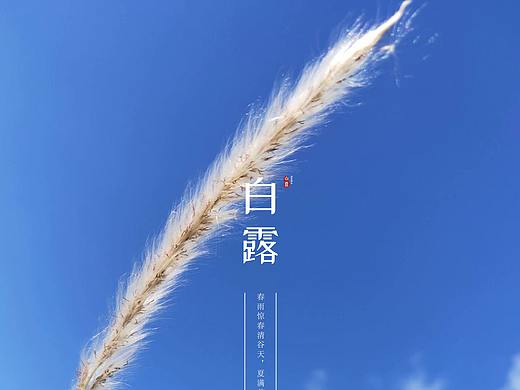 24节气之镜头下