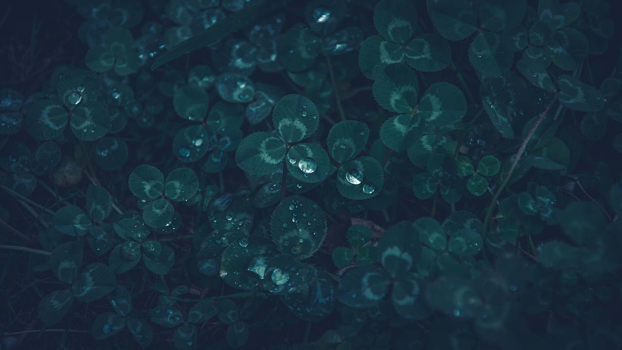 自己拍壁纸系列01（图ZMjUxNTQ0Njc2） - 风光摄影 - 站酷设计师狠手辣原创素材 - 站酷ZCOOL