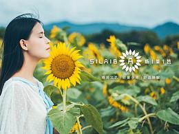 斯莱芭酒店|酒店公寓品牌策划设计