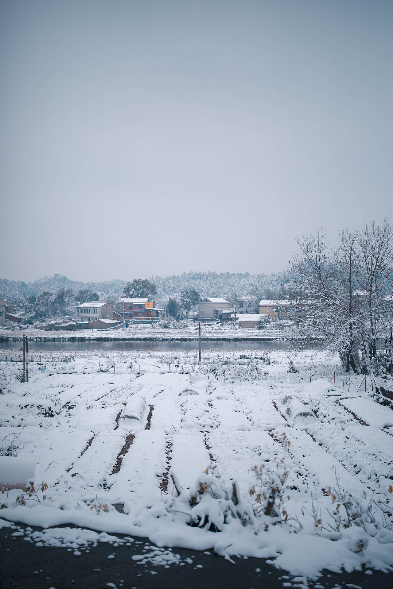 新洲紫薇都市田园雪景图片