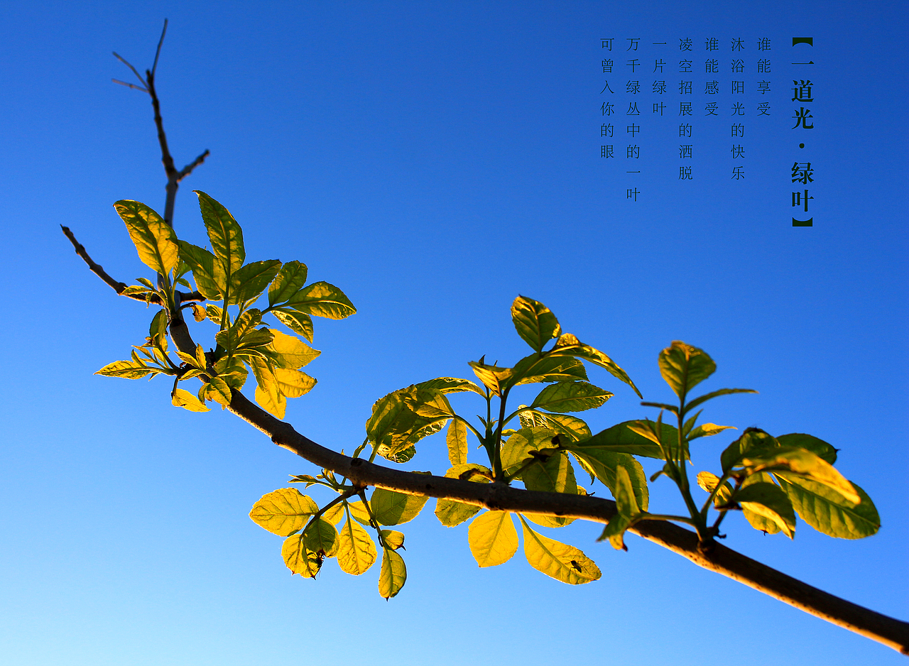 那一道美麗的光（圖ZMzAwNzg5Mjg=） - 風(fēng)光攝影 - 站酷設(shè)計師maomao12444原創(chuàng)素材 - 站酷ZCOOL