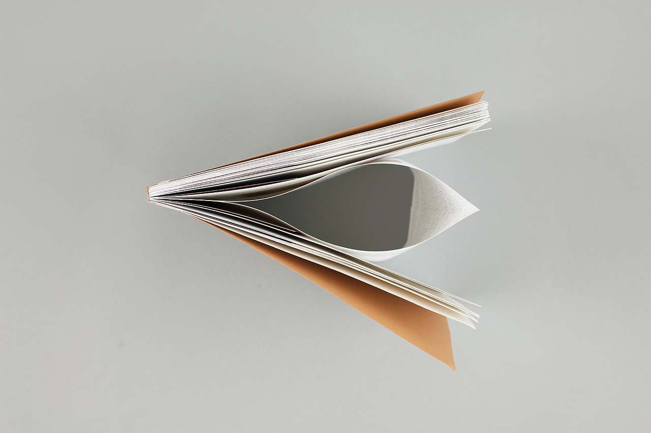 Desk Lunch Proposal 书籍设计