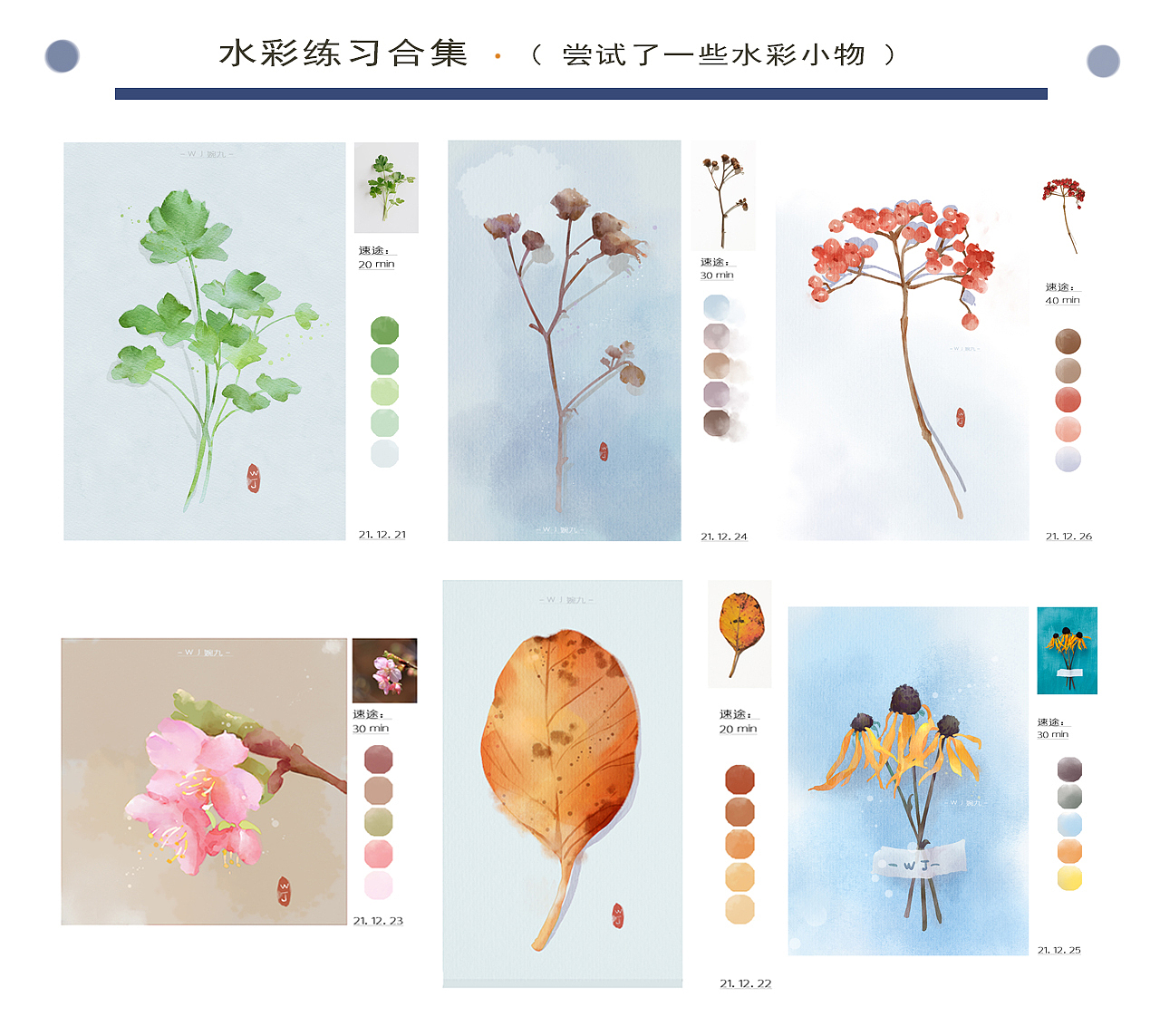 婉九的2021插画练习总结