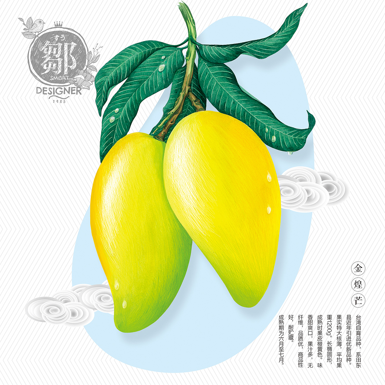 《天赋田东美 · 地道芒果香》百色芒果主题插画