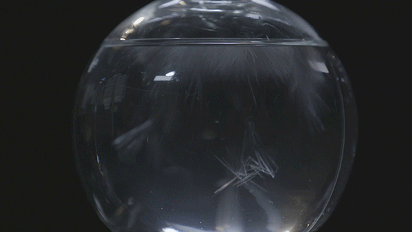 脑力觉醒 | 衍生节目包装（图ZOTg3NTA4NjA=） - 栏目片头 - 站酷设计师Poyo原创素材 - 站酷ZCOOL