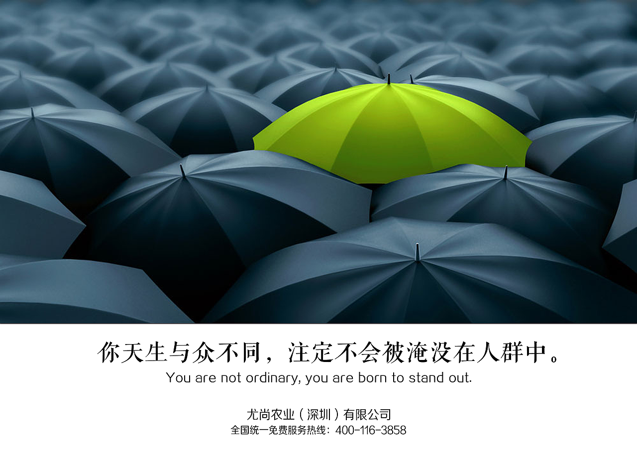 每日励志