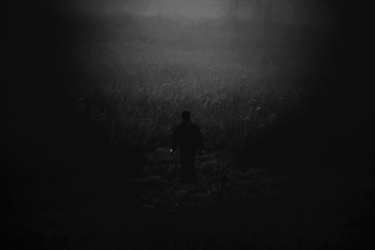 莫言作品中的东北乡