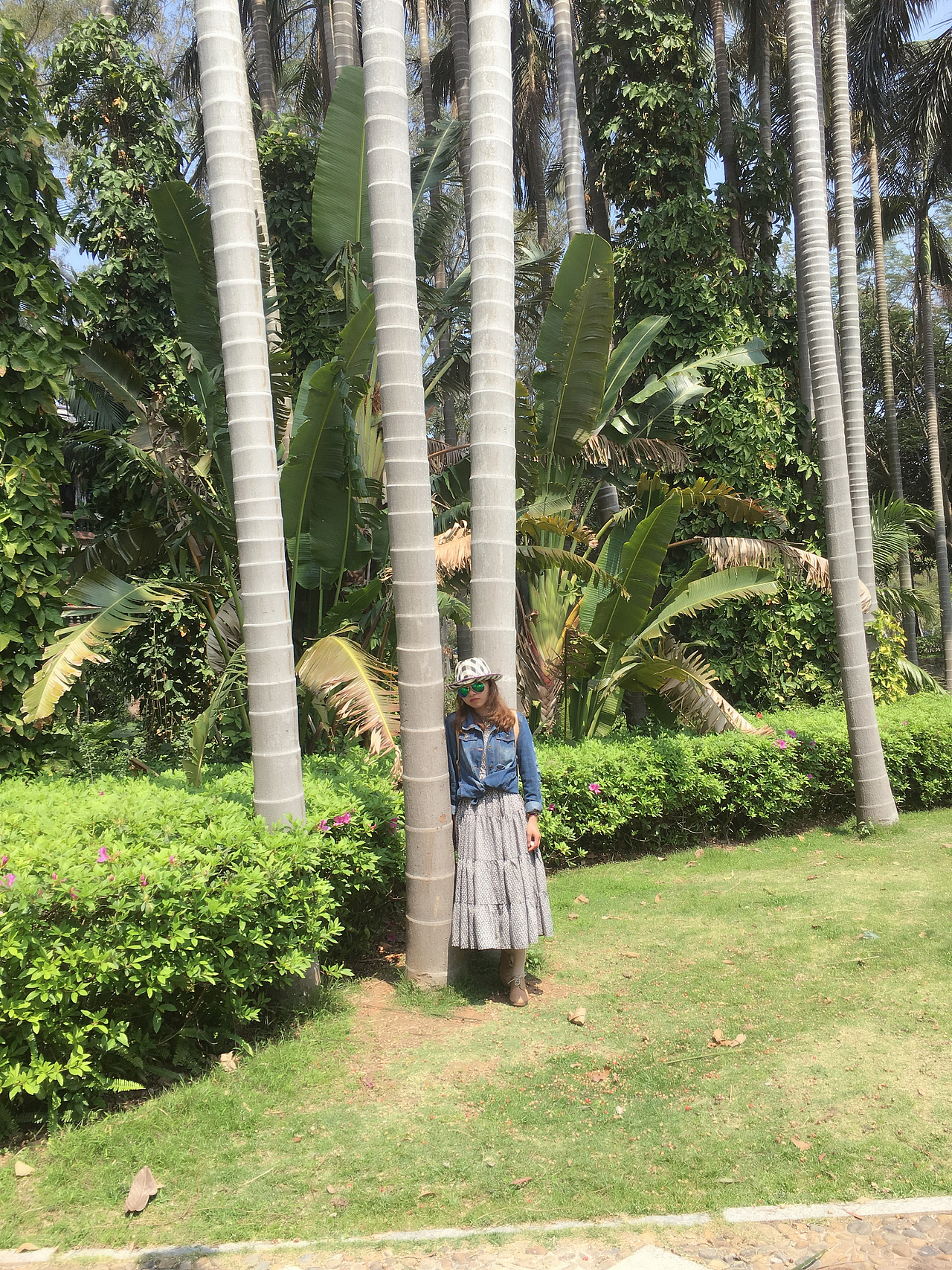 厦门大学走一走（图ZNzg1NTY0NDg=） - 人像摄影 - 站酷设计师1652055183原创素材 - 站酷ZCOOL