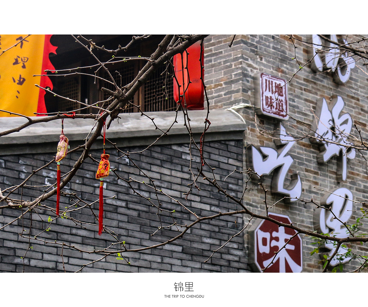 蓉城成都（图ZNDU0OTc3MTI=） - 风光摄影 - 站酷设计师十一月的疯子原创素材 - 站酷ZCOOL
