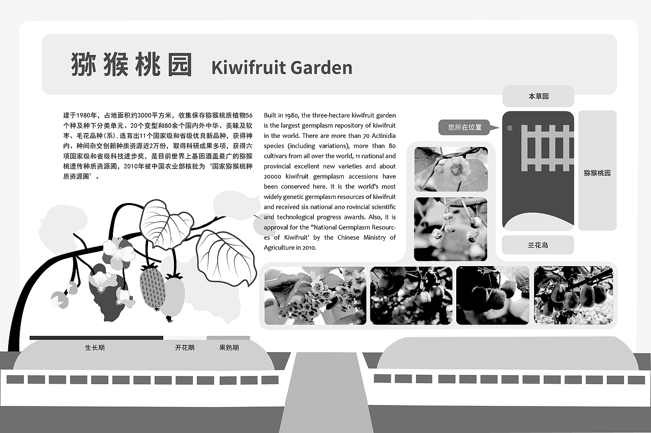 此为猕猴桃园正常人与全色盲视觉对比