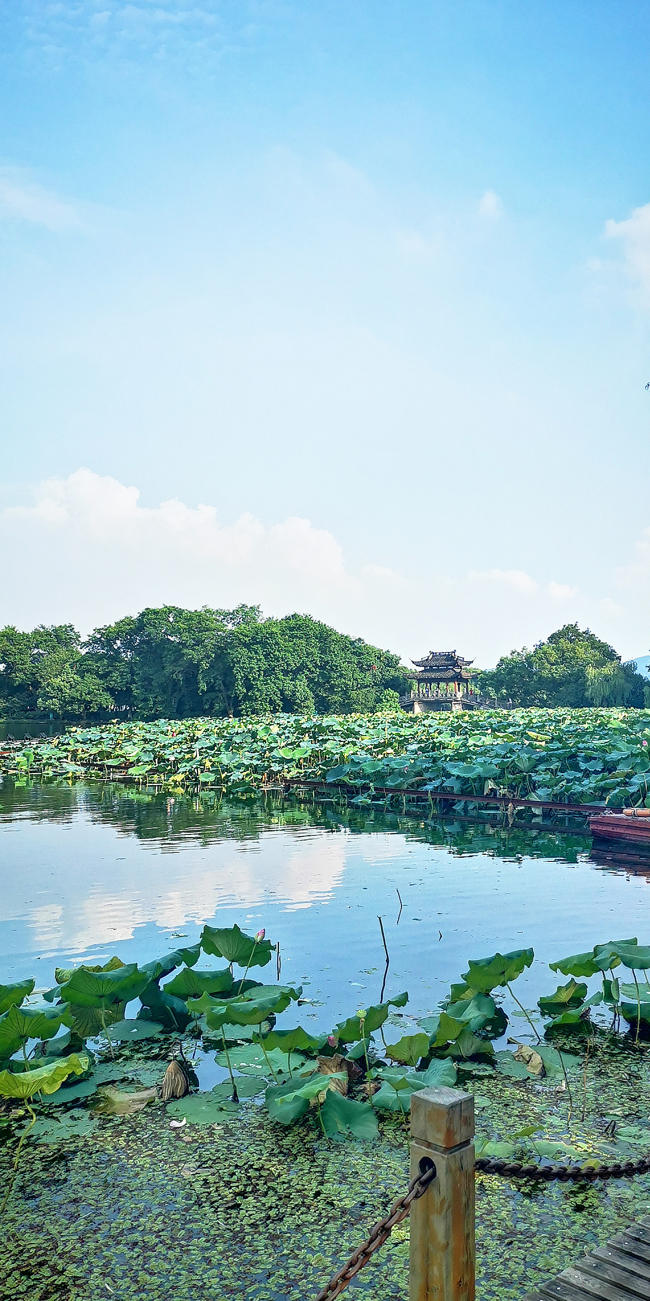 西湖风光 手机摄影