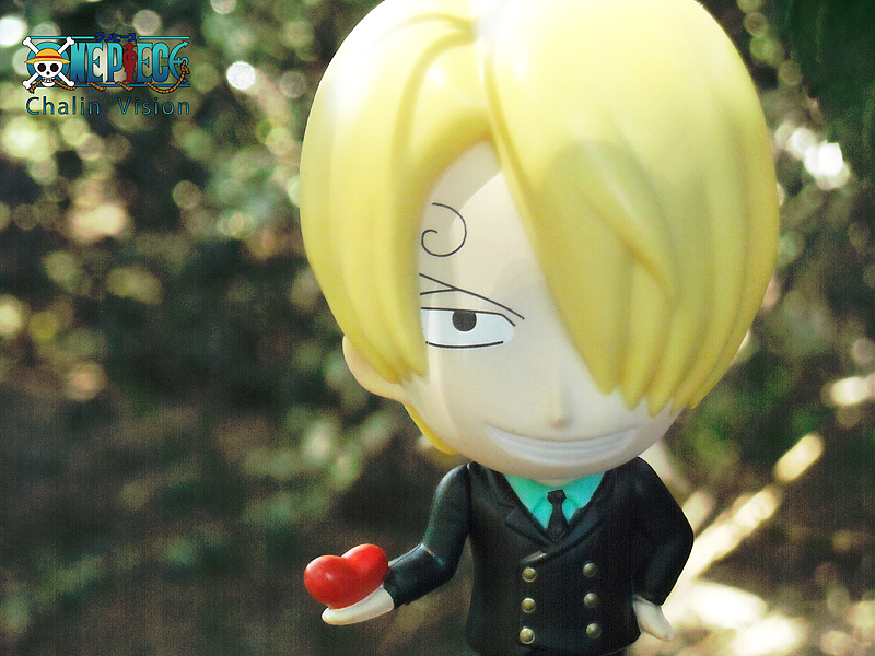 静物摄影—《one piece 海贼王》（图ZMTExODM1OTY=） - 产品摄影 - 站酷设计师貓兒原创素材 - 站酷ZCOOL