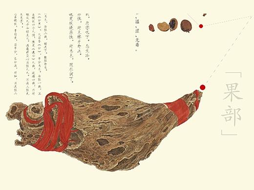 古风药材首页排版文案插画