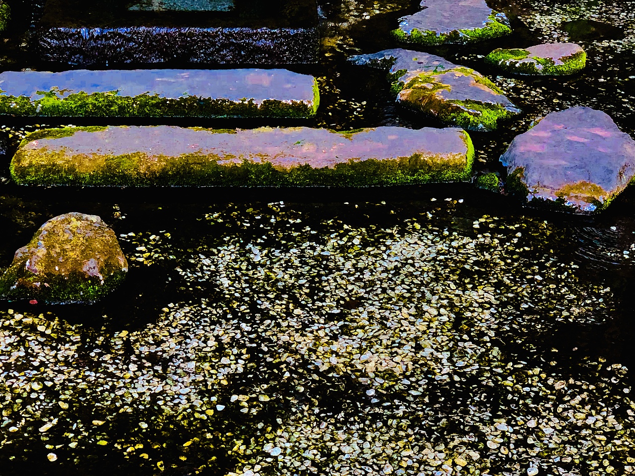 摄影 │ 东京印象