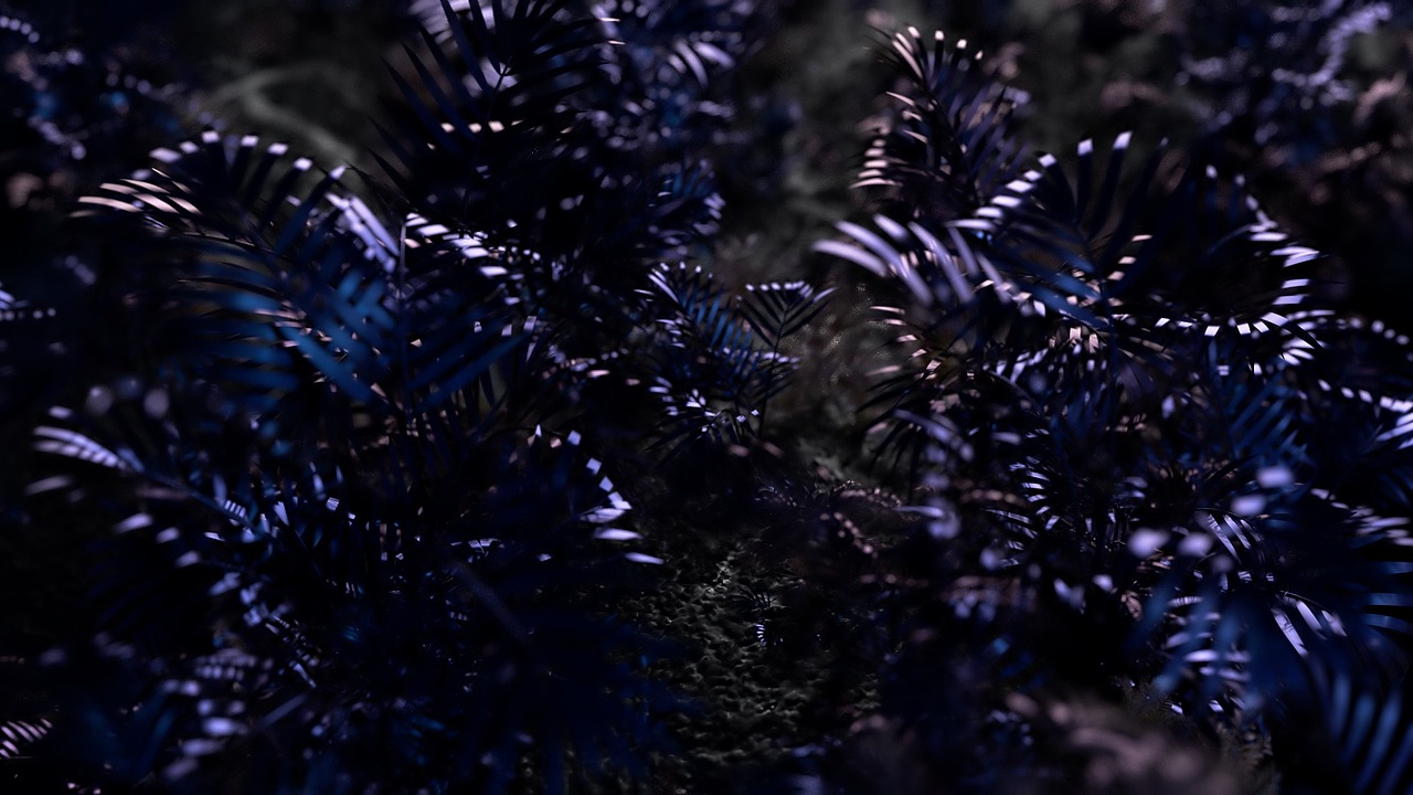 BEMORAL - MY ONLY DESIRE 新品发布概念视频