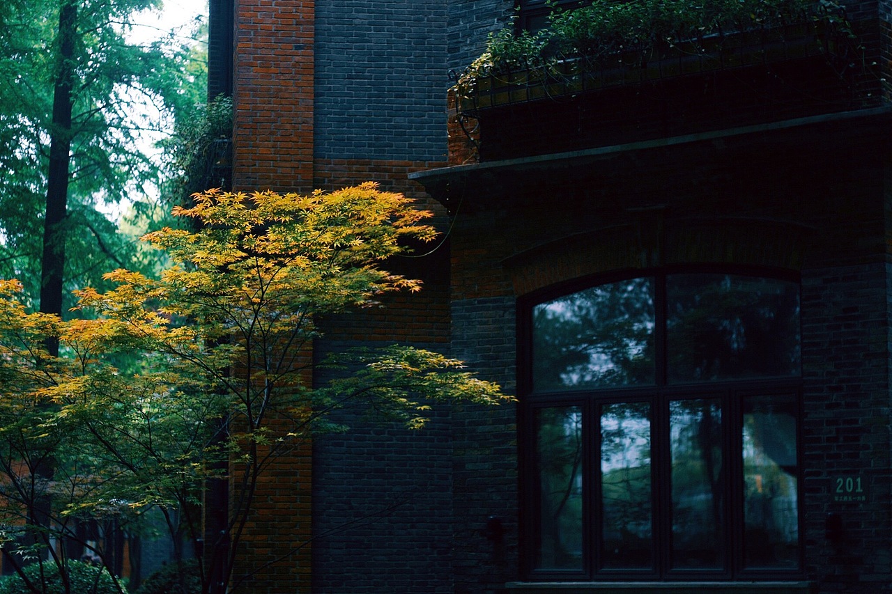 上海校园里的春光