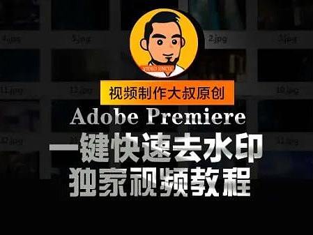 视频制作大叔教程: PR一键去水印教程, 这样去水印又快又干净!