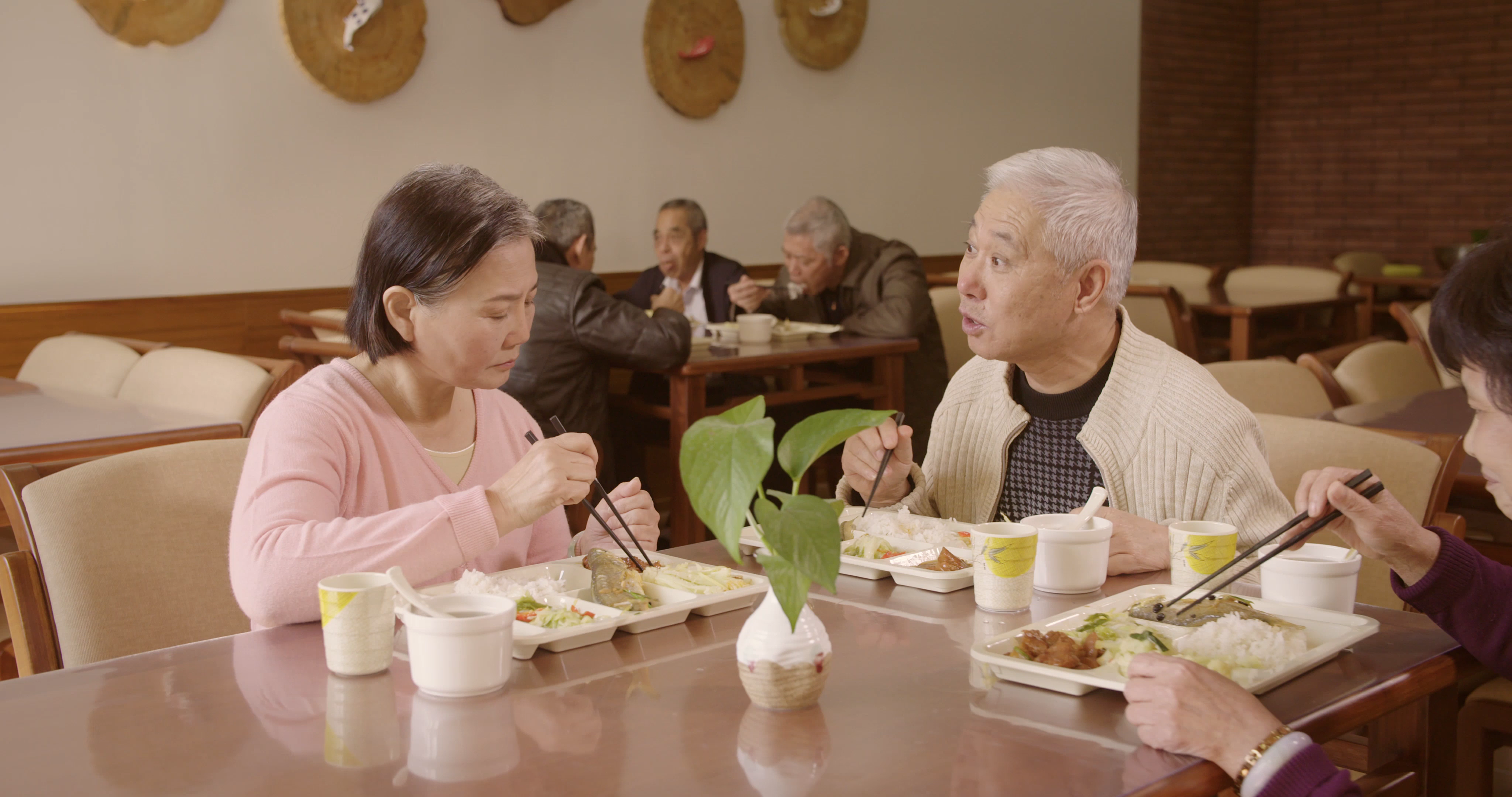 蔡塘·金厝边养老院宣传片《为爱守护》