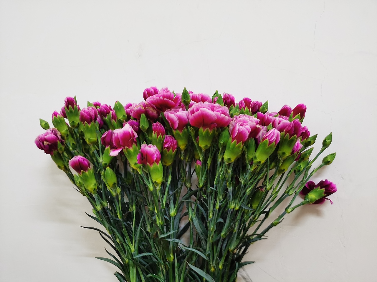 惊喜可以自己去寻找