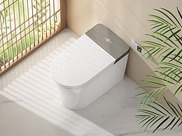 近况 - 智能马桶 渲染