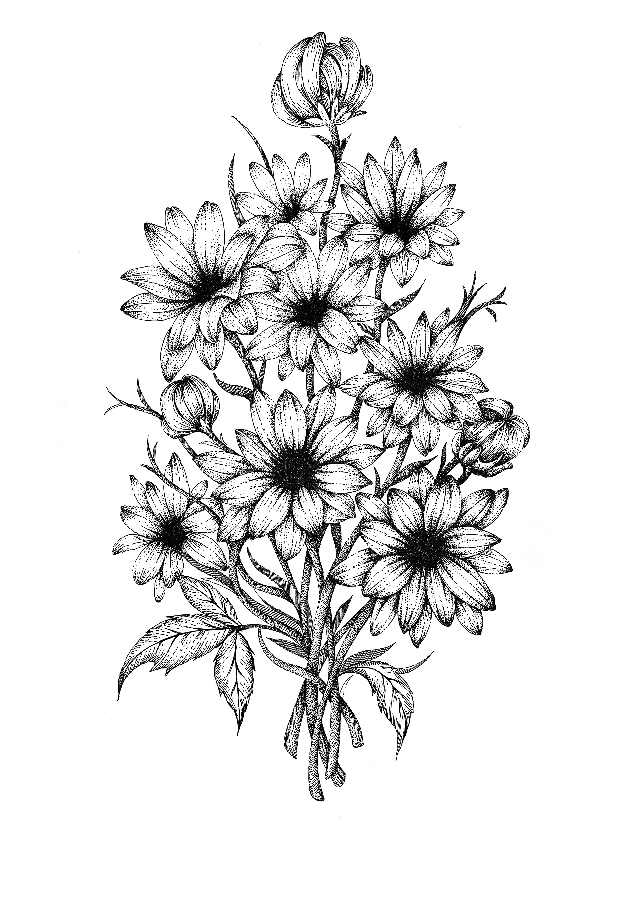 茶野品牌包装插画设计（图ZMjc3NDc5NjQ0） - 商业插画 - 站酷设计师张贇ILLUSTRATION原创素材 - 站酷ZCOOL