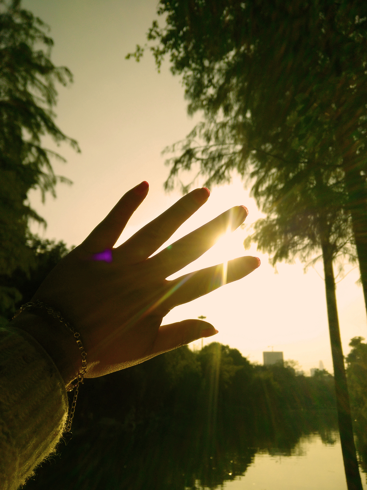 心中如同阳光,一片光明,平淡不强求.