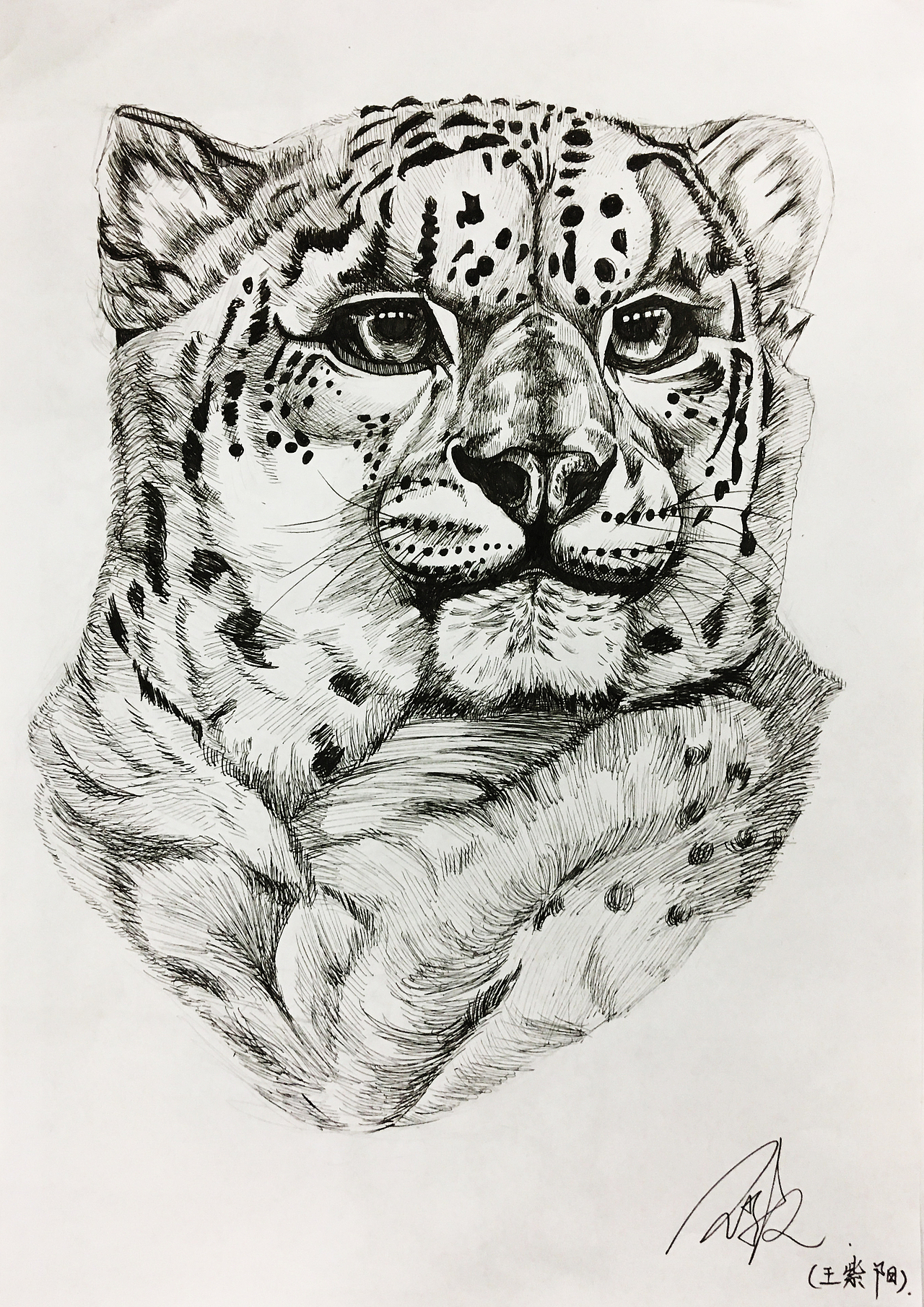 自己整理的一些手绘作品（图ZOTgxNDk0NDQ=） - 图案 - 站酷设计师王子先生原创素材 - 站酷ZCOOL