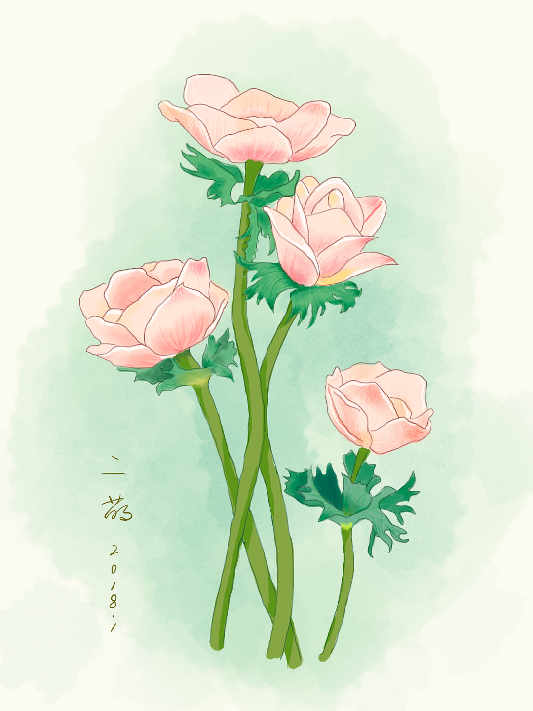 草本植物绘画|插画|商业插画|GNGNG小Ming - 原创作品 - 站酷 (ZCOOL)
