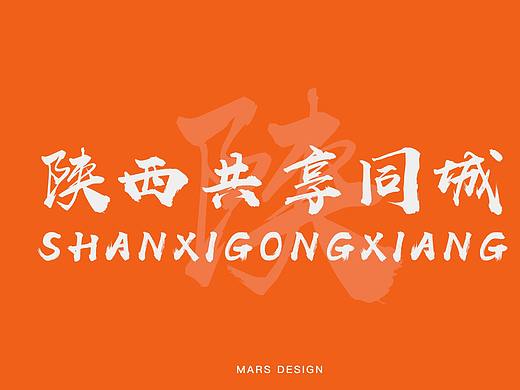 共享同城品牌设计&VIS视觉形象识别手册