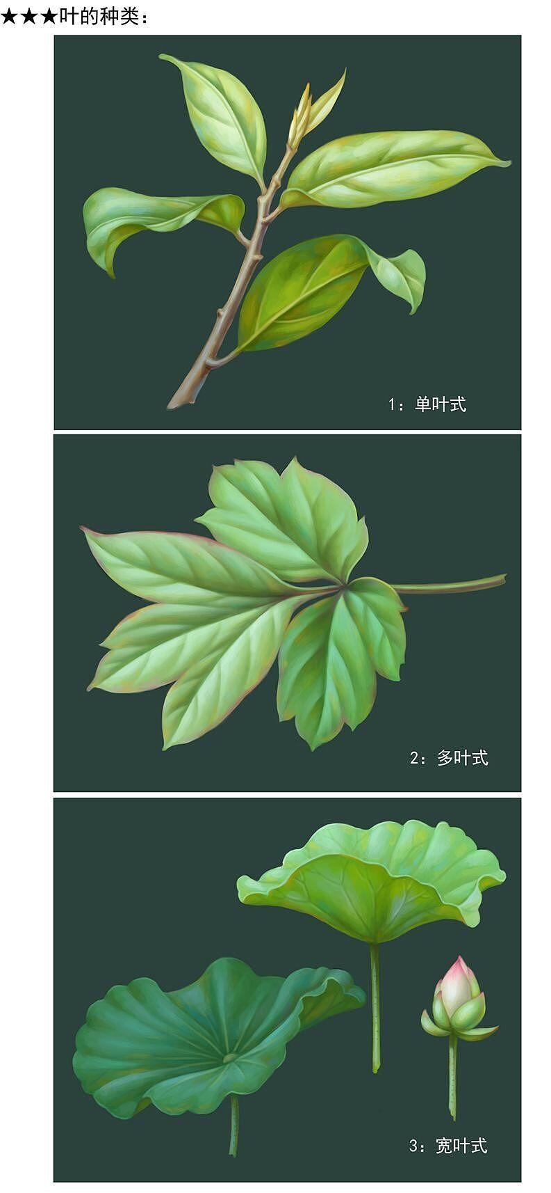 【书亦飞】更新-绘画小过程（图ZMTE4NTEzNTYw） - 创作习作 - 站酷设计师书亦飞原创素材 - 站酷ZCOOL