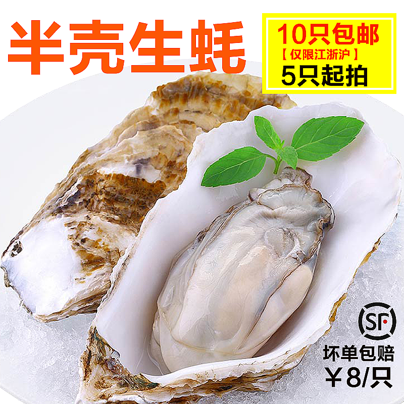 生蚝（图ZMTU3NTgxOTc2） - 宠物摄影 - 站酷设计师id设计david原创素材 - 站酷ZCOOL