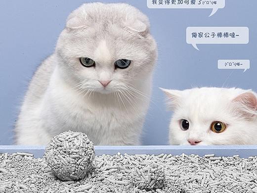 猫砂