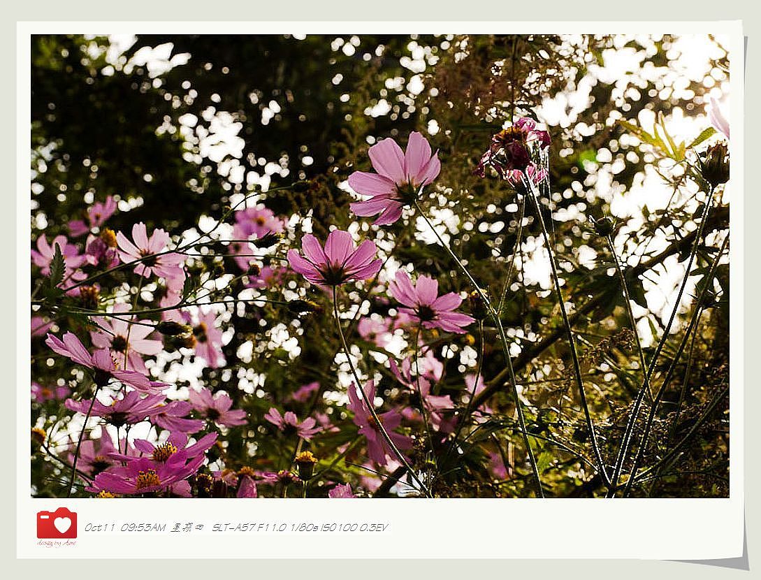 ◤岁月静好❤安然若素◢ 最接近天堂的地方，一轉身便是天涯（图ZNzE1Mjk1Ng==） - 风光摄影 - 站酷设计师咪噜咪噜原创素材 - 站酷ZCOOL