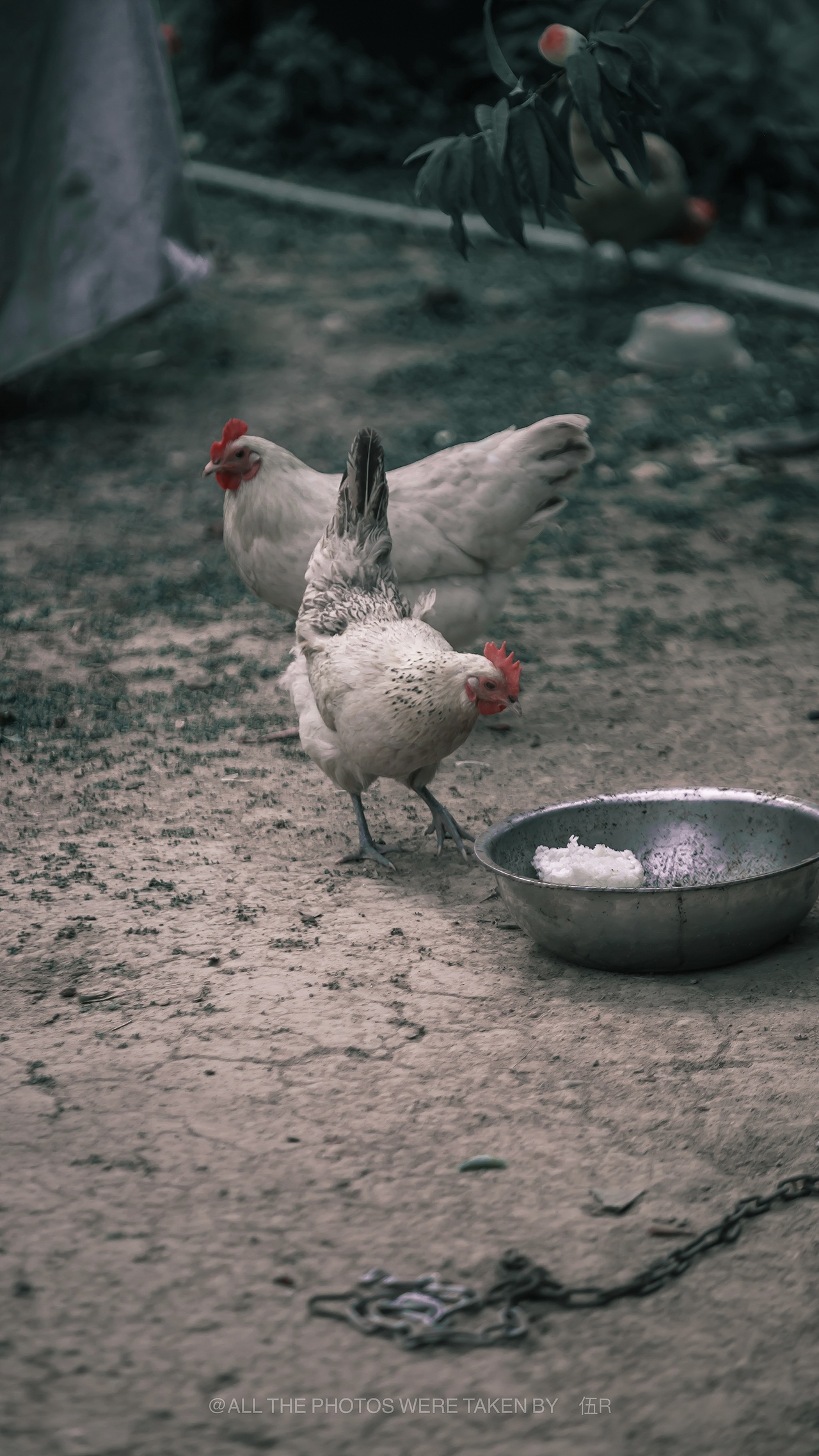 南京江乡小镇（图ZMzAyOTc5Njk2） - 风光摄影 - 站酷设计师无声无故原创素材 - 站酷ZCOOL