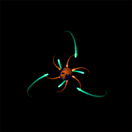 一剑天下的个人主页（背景预览） - 主页背景设置 - 站酷设计师一剑天下原创素材 - 站酷ZCOOL