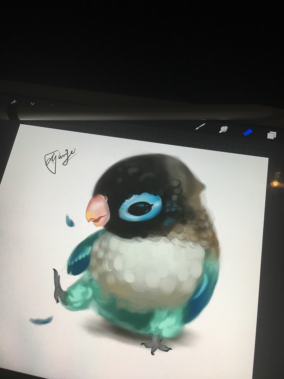 绘画教程-一只肥鸟（图ZNjg0MjI4MTI=） - 创作习作 - 站酷设计师djangococo原创素材 - 站酷ZCOOL