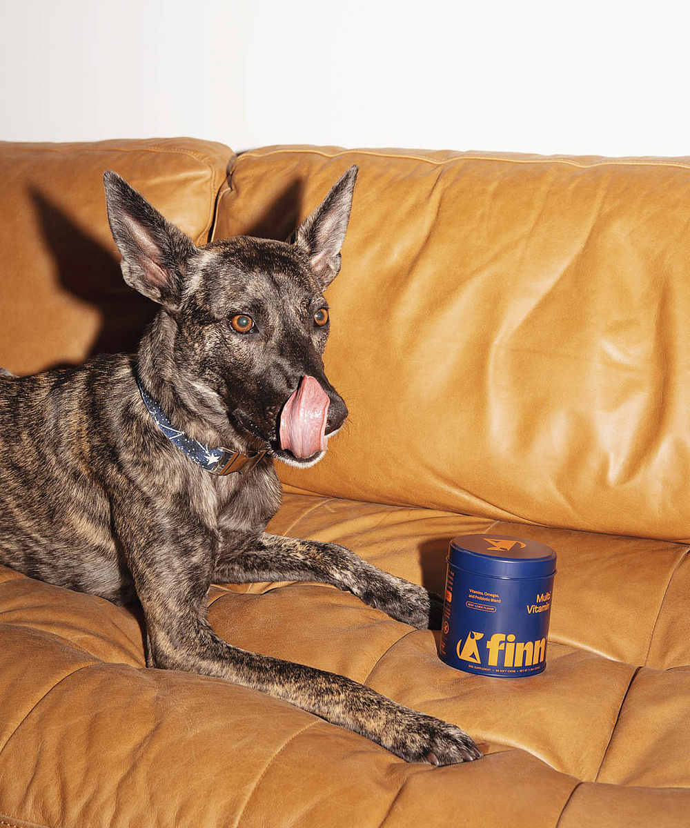 设计分享/ Finn-品牌