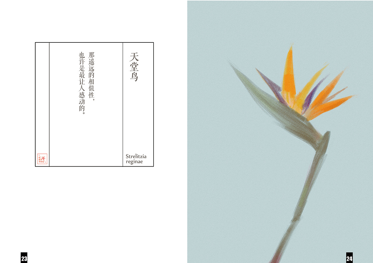 《唤醒世界的花开》绘本插画（图ZNzAzMTQ3NTY=） - 绘本 - 站酷设计师小末角原创素材 - 站酷ZCOOL
