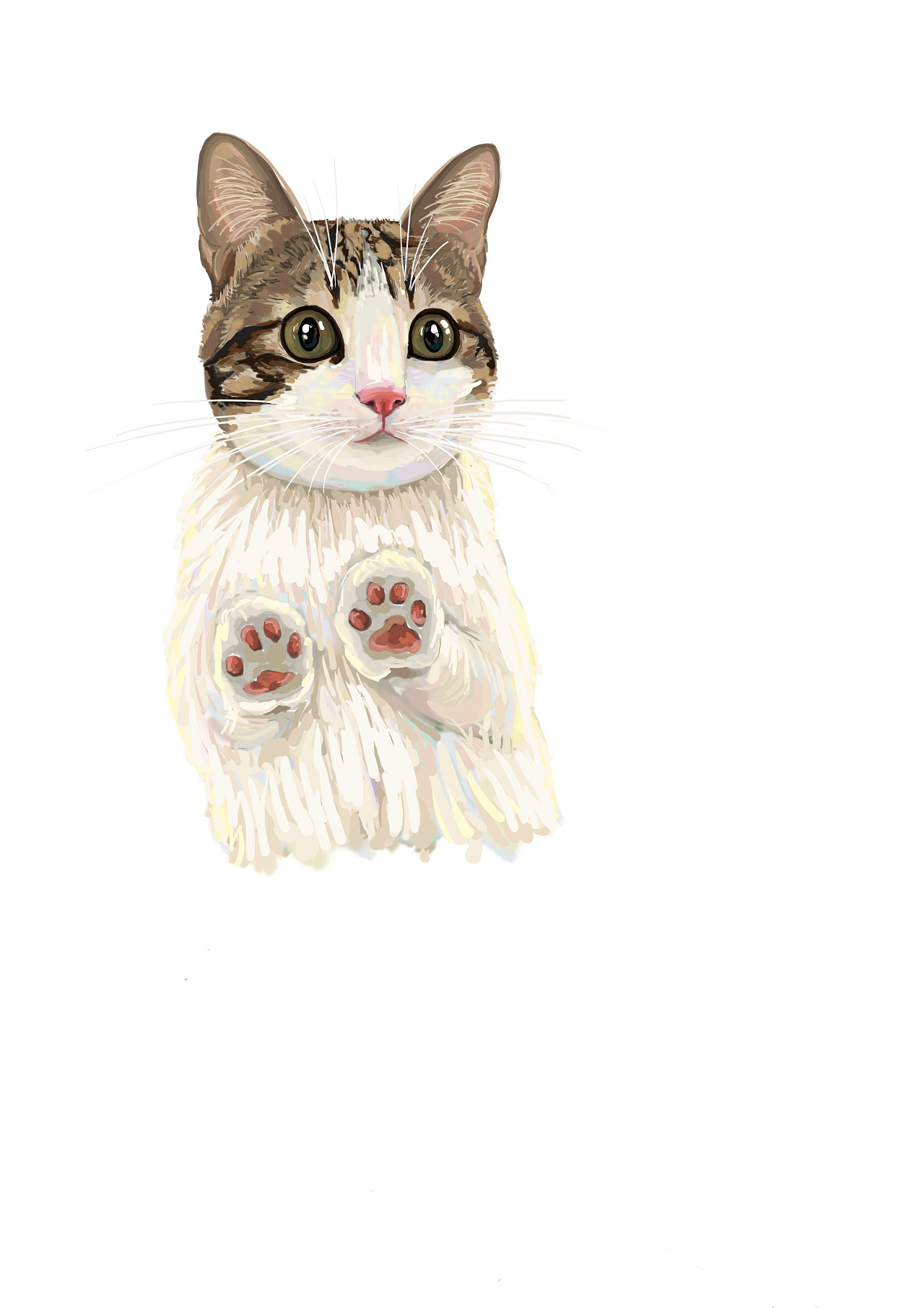 瓜皮- 原创作品 - 站酷(zcool)