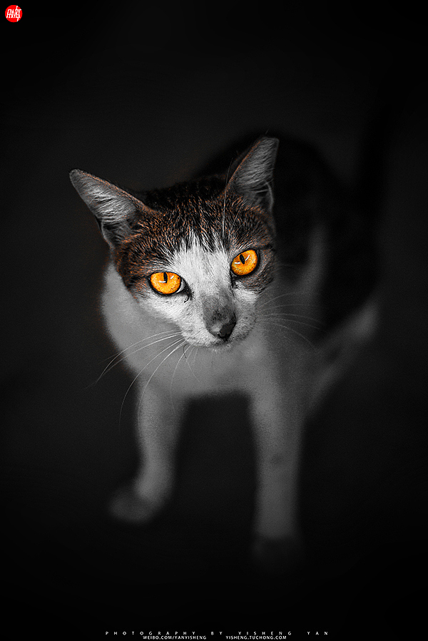 我的快门日记-拾[2013]/散片整理 |摄影|人文/纪实摄影|亦生fancat