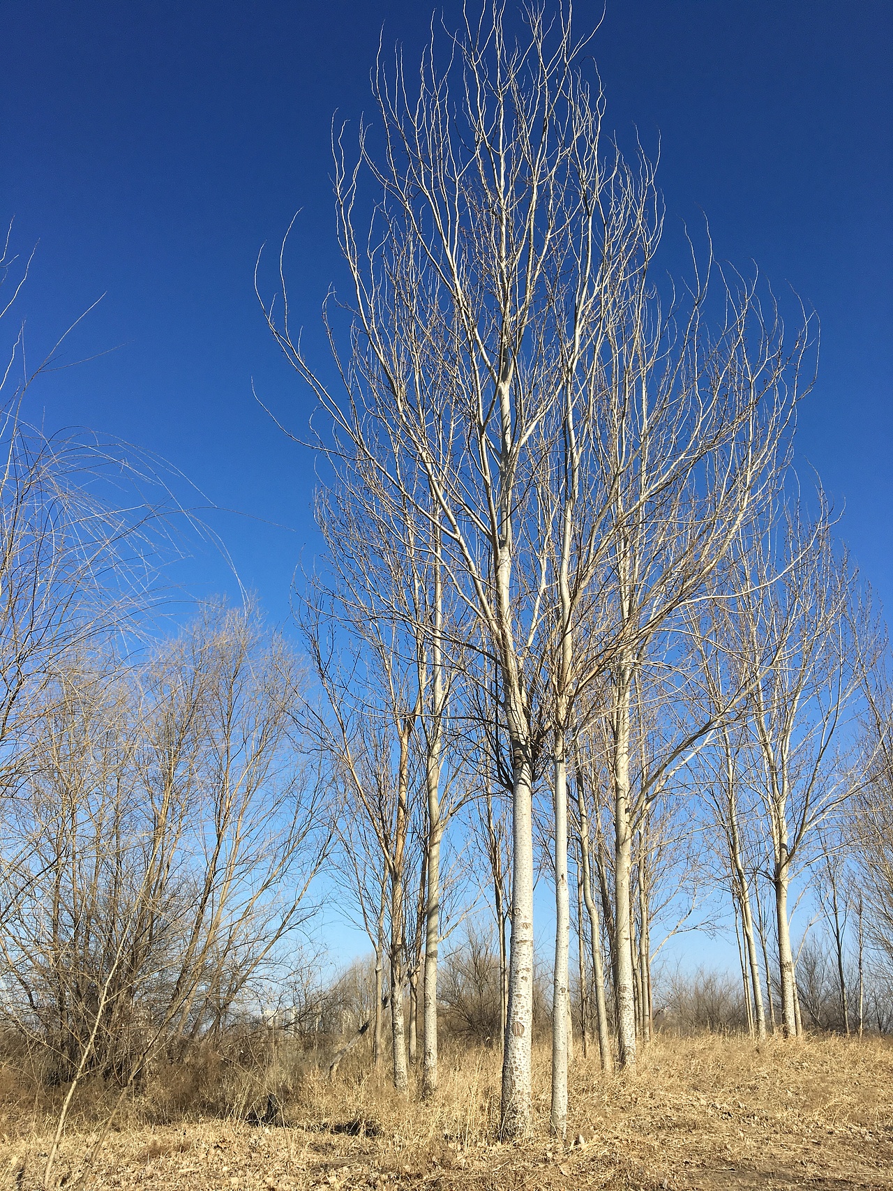 休闲（图ZMTk0ODk0NzY4） - 风光摄影 - 站酷设计师Ourlandisrichinb原创素材 - 站酷ZCOOL