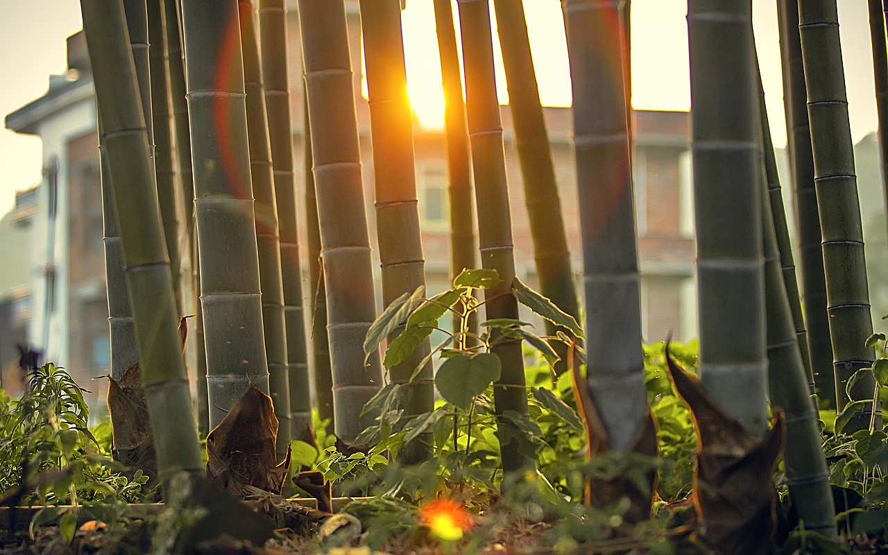 那村那人那风光（图ZNjE2Nzk1OTY=） - 风光摄影 - 站酷设计师sunnysat原创素材 - 站酷ZCOOL