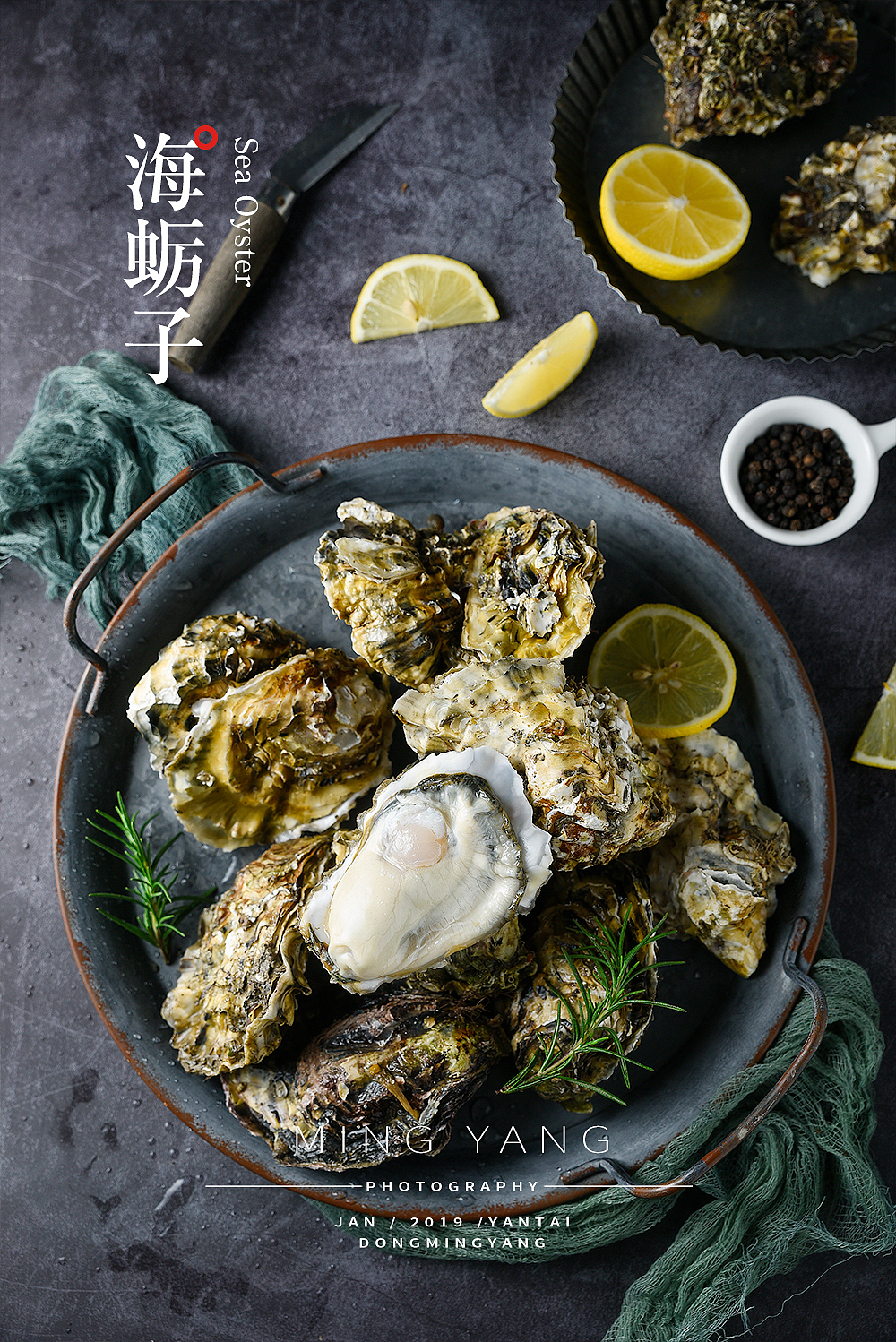 海蛎子/生蚝拍摄