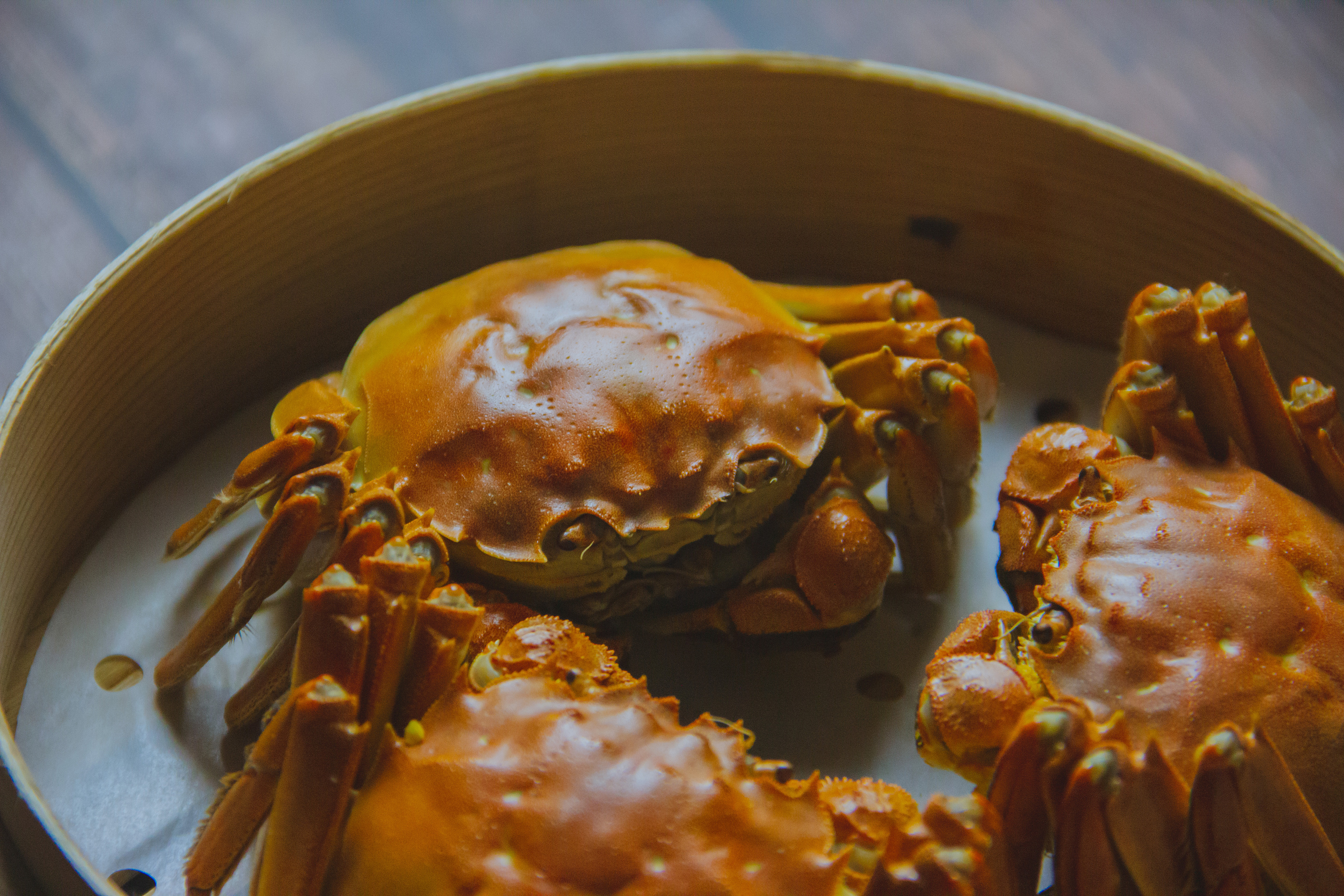 鼎库阳澄湖大闸蟹|摄影|产品摄影|一只大熊鸭 - 原创作品 - 站酷 (zco