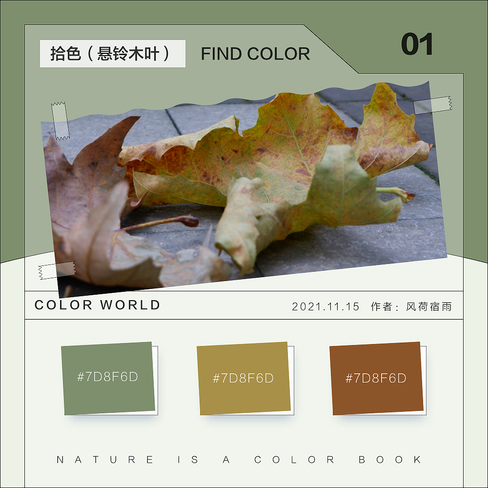 色彩（悬铃木）（图ZMjgyNzQ3MzA4） - 其他 - 站酷设计师风荷宿雨原创素材 - 站酷ZCOOL