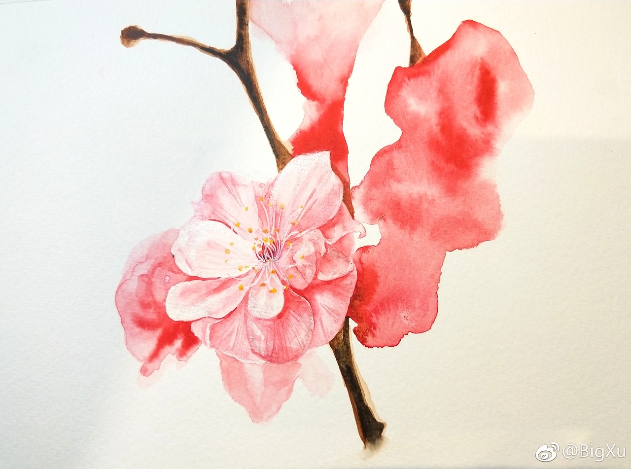 水彩· 桃花|纯艺术|绘画|bigxu大旭 - 原创作品 - 站酷 (zcool)