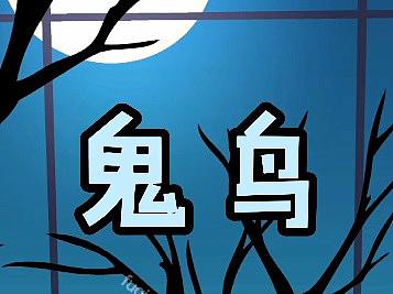 动画制作公司 动画制作 生活短视频动画 鬼鸟