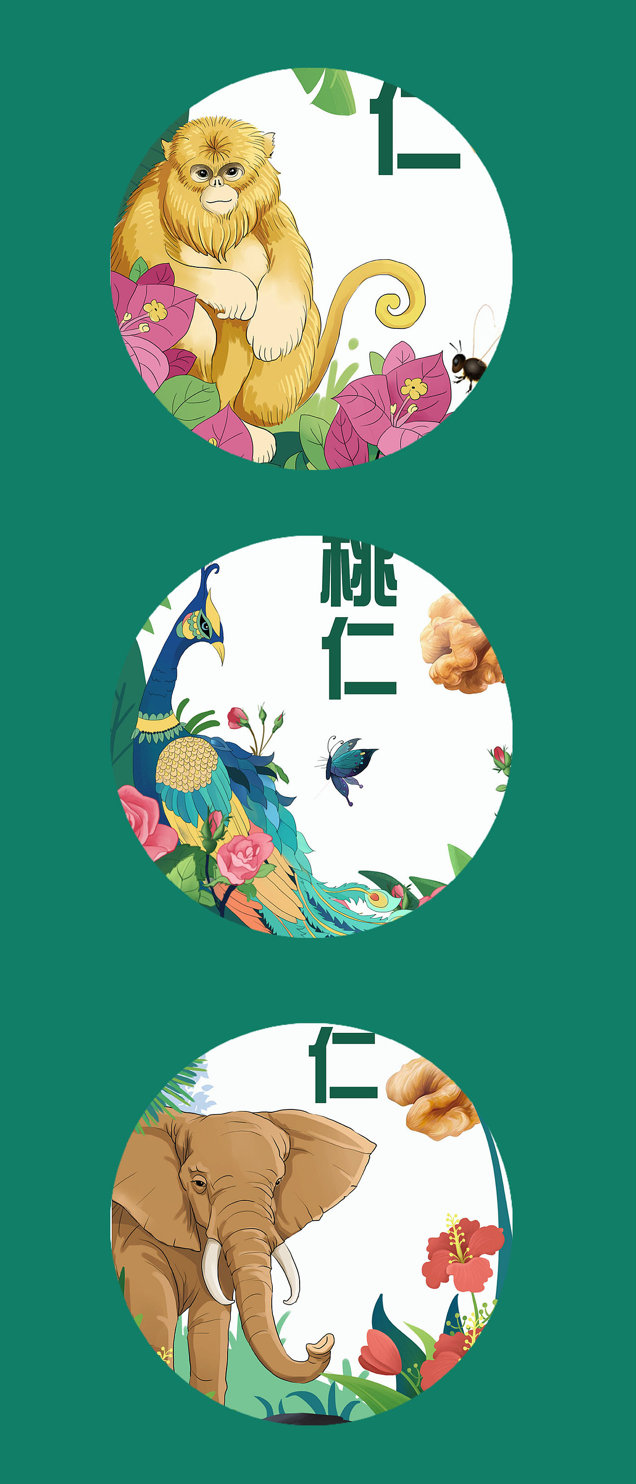 核桃仁动物系列插画包装