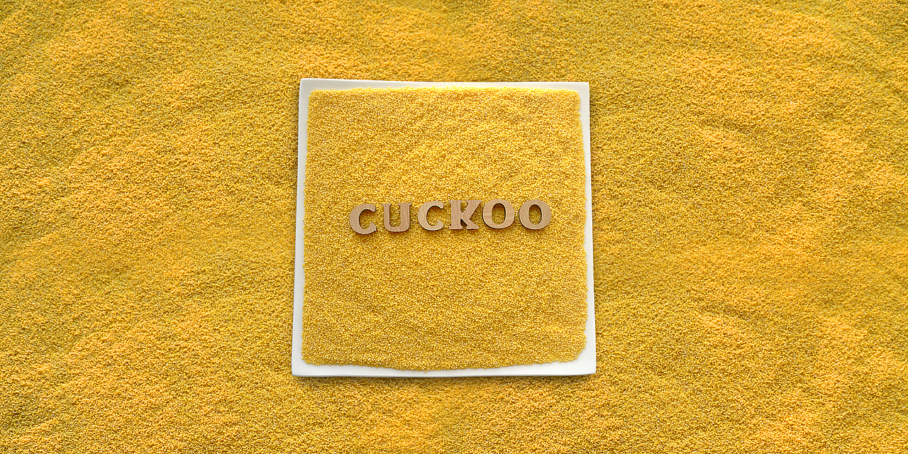 这是大图,小米篇